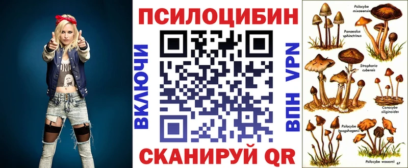 Галлюциногенные грибы ЛСД Купить закладки Талдом